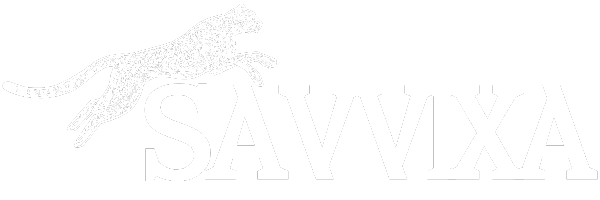savvixa.com